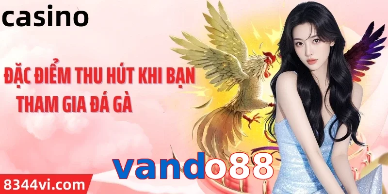 vando88